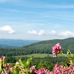 ホテル Koenigshof 3*