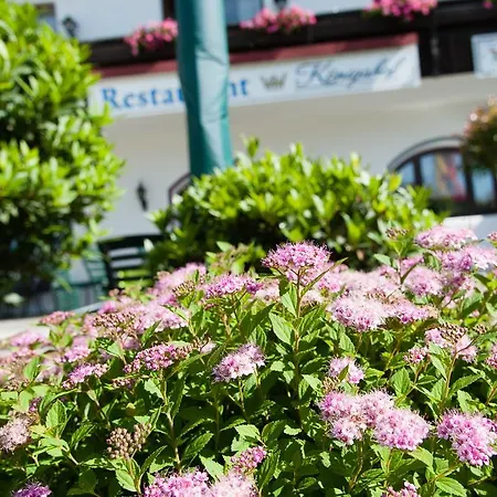 ホテル Koenigshof ボーデンマイス