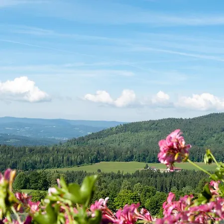Hotel Koenigshof 3*