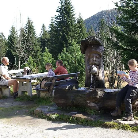 Hotel Koenigshof Bodenmais