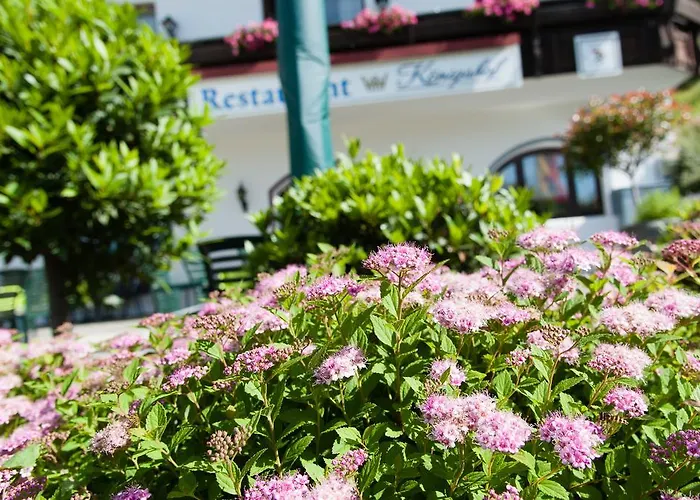 מלון Koenigshof בודנמאיס