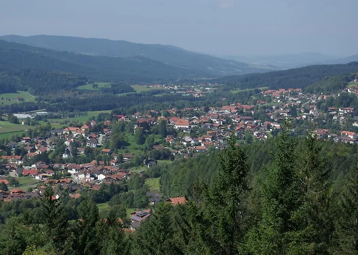 Koenigshof בודנמאיס